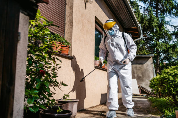 Insect Control in Riverview Park, PA