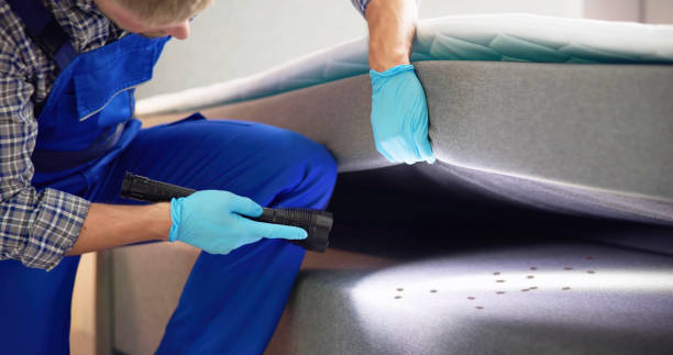 Best Wasp Removal Services  in Riverview Rk, PA
