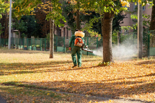 Best Pest Prevention Services  in Riverview Rk, PA
