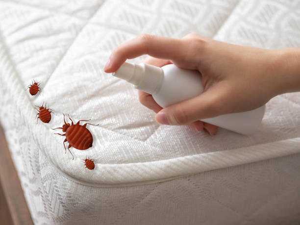 Best Best Pest Control Companies  in Riverview Rk, PA