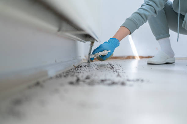 Best Local Pest Control Services  in Riverview Rk, PA