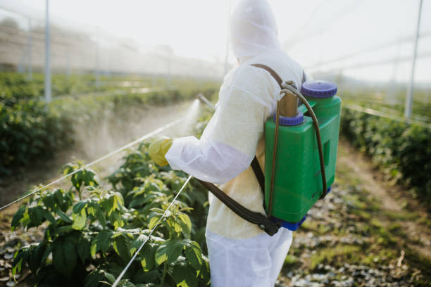 Best Local Pest Control Services  in Riverview Rk, PA